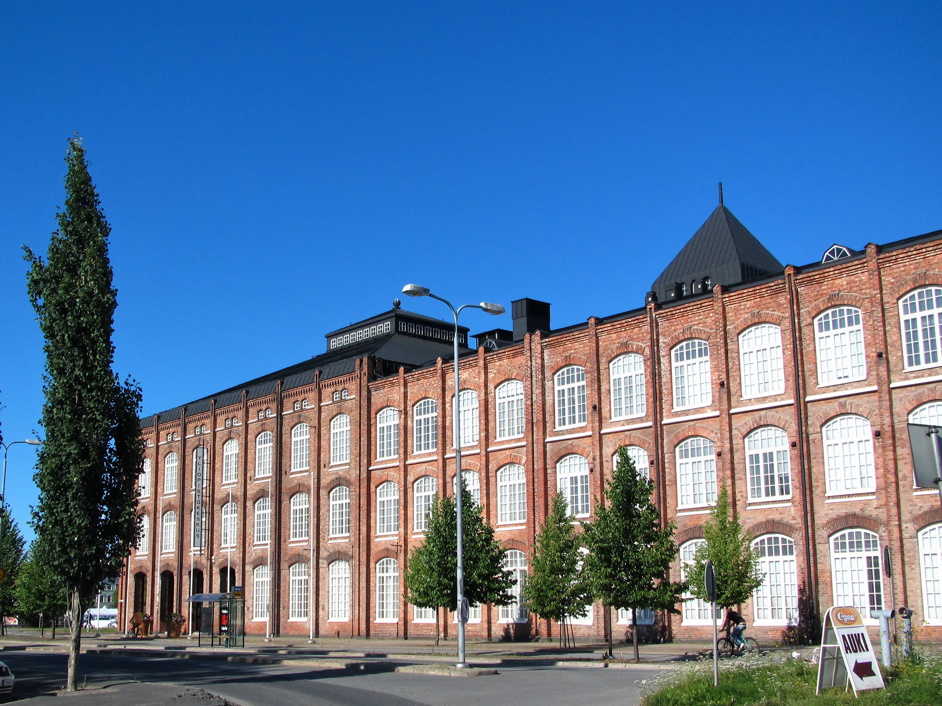 puuvilla tehdas siltapuistok puolelt 2013