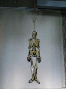 Suomenlinna luuranko