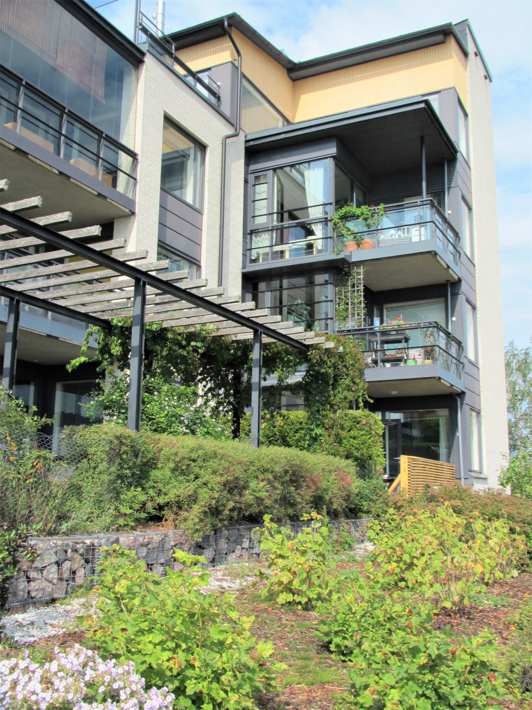 Arabianranta talo ja piha